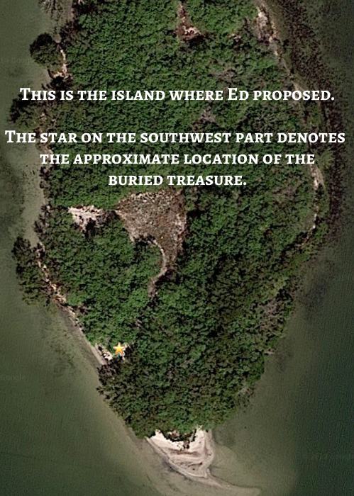 satellite view of island